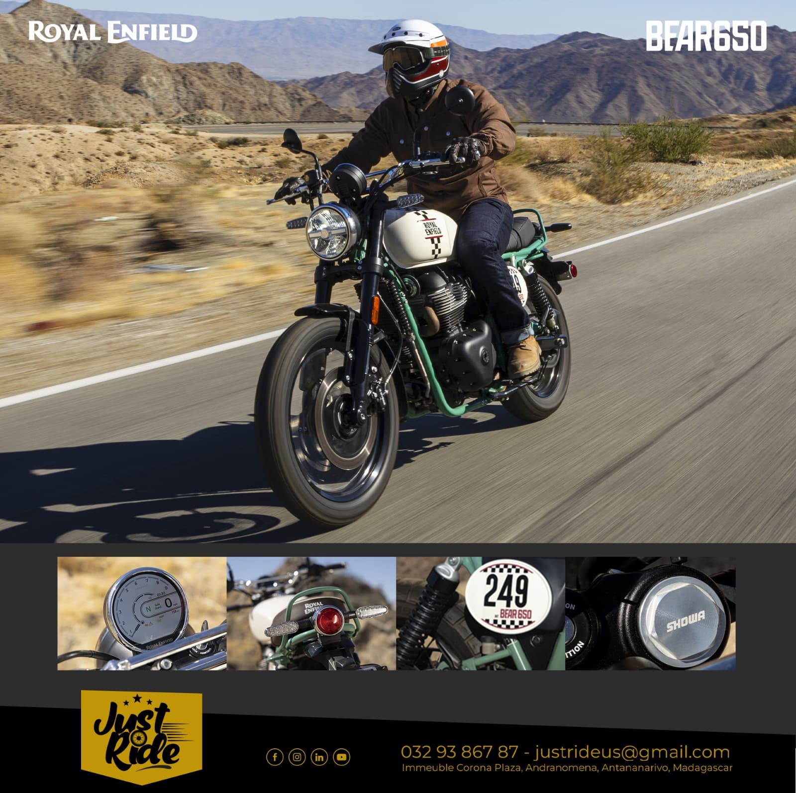 Bear 650