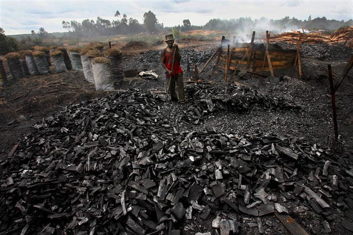 Just RIDE Environnement / Revoyons les bases : l’empreinte carbone.La gestion durable du bois-énergie à Madagascar : un enjeu crucial pour l'avenir