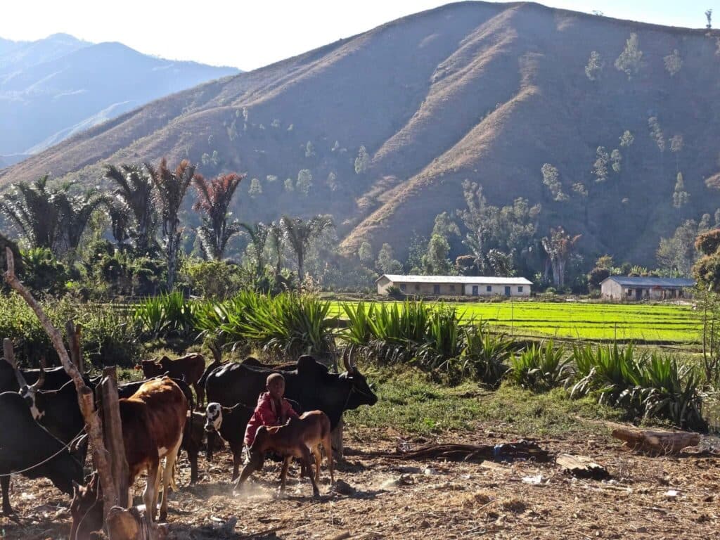 Just RIDE Tourisme / Mangindrano : La Dernière Halte Avant l’Ascension du Tsaratanàna