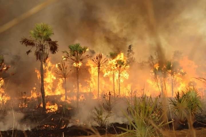 Just Ride Actualité / Lutte contre les incendies : Madagascar National Parks reçoit des équipements essentiels – Les motards en première ligne dans les zones à risque