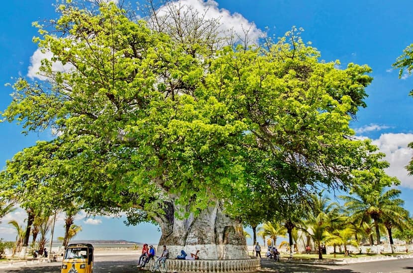 Just Ride Road Trip/ Majunga : Entre Histoire, Soleil et Bord de Mer