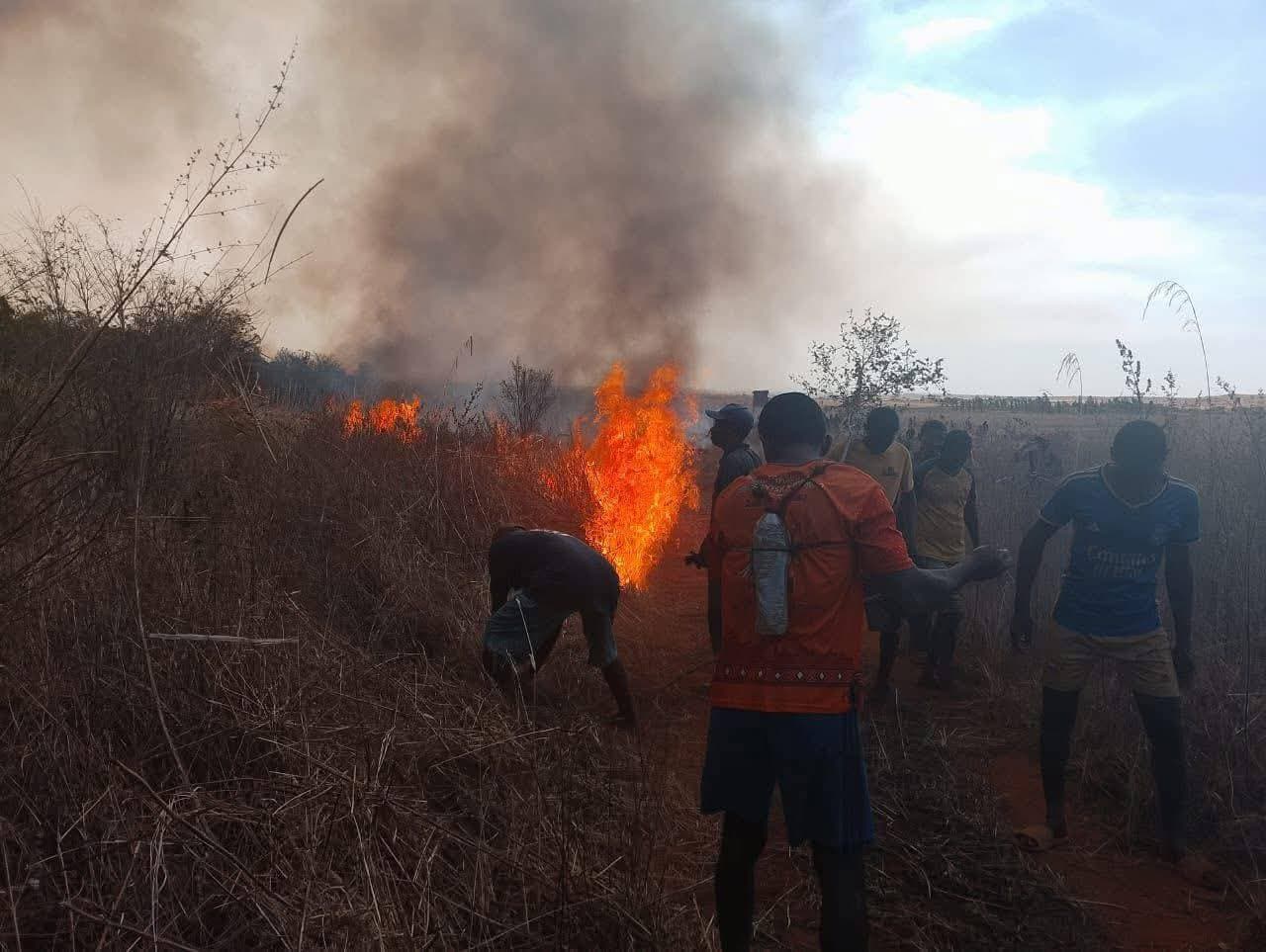 Just Ride actu environnement/ Parc National d’Ankarafantsika : en feu depuis 4 jours, un patrimoine en danger