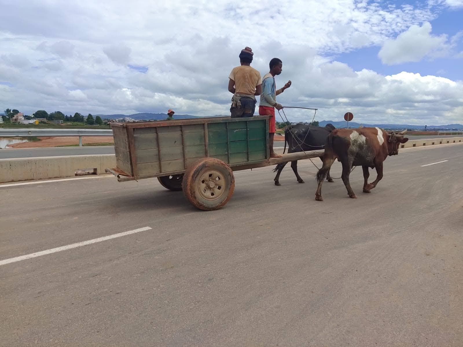 Just Ride actus / Autoroute 1 : entre sécurité renforcée et dangers persistants