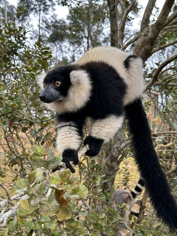 Just Ride Road Trip / Nosy Soa Park Mantasoa : la destination week-end parfaite à moto