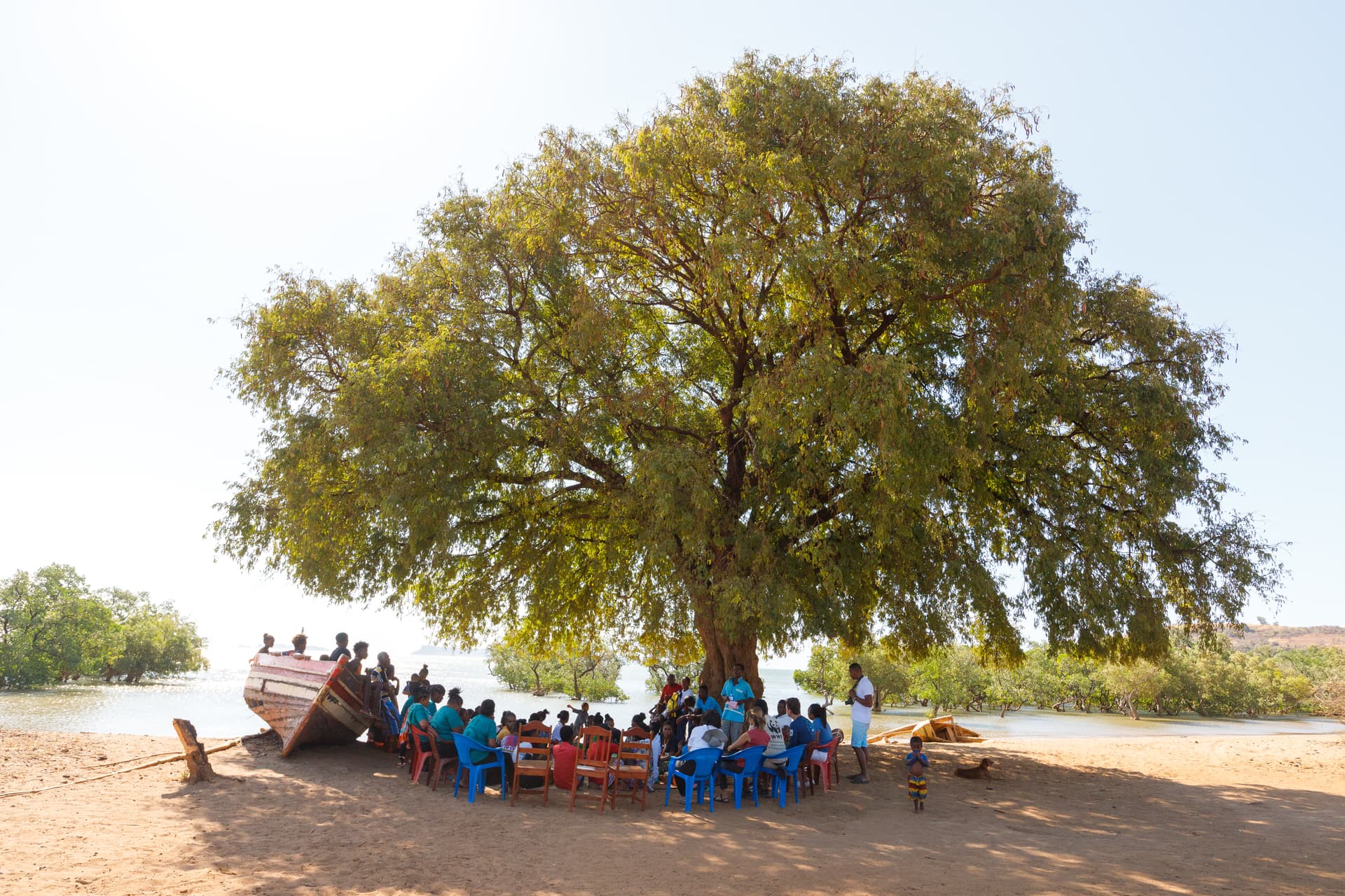 Just Ride actus/ Madagascar renforce la conservation marine communautaire grâce à un financement de plus de 5,2 millions de dollars