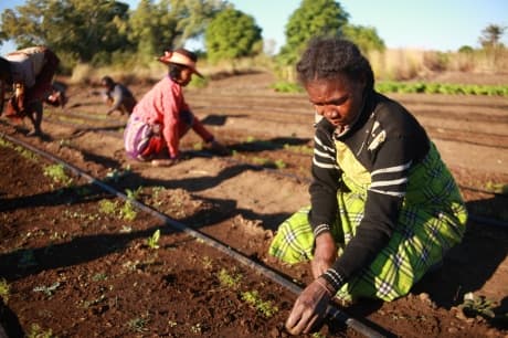 Just Ride Actus/ PLAN DE RELANCE : Les Assises régionales sur l’agribusiness, socle d’une relance participative et d’un développement local renforcé