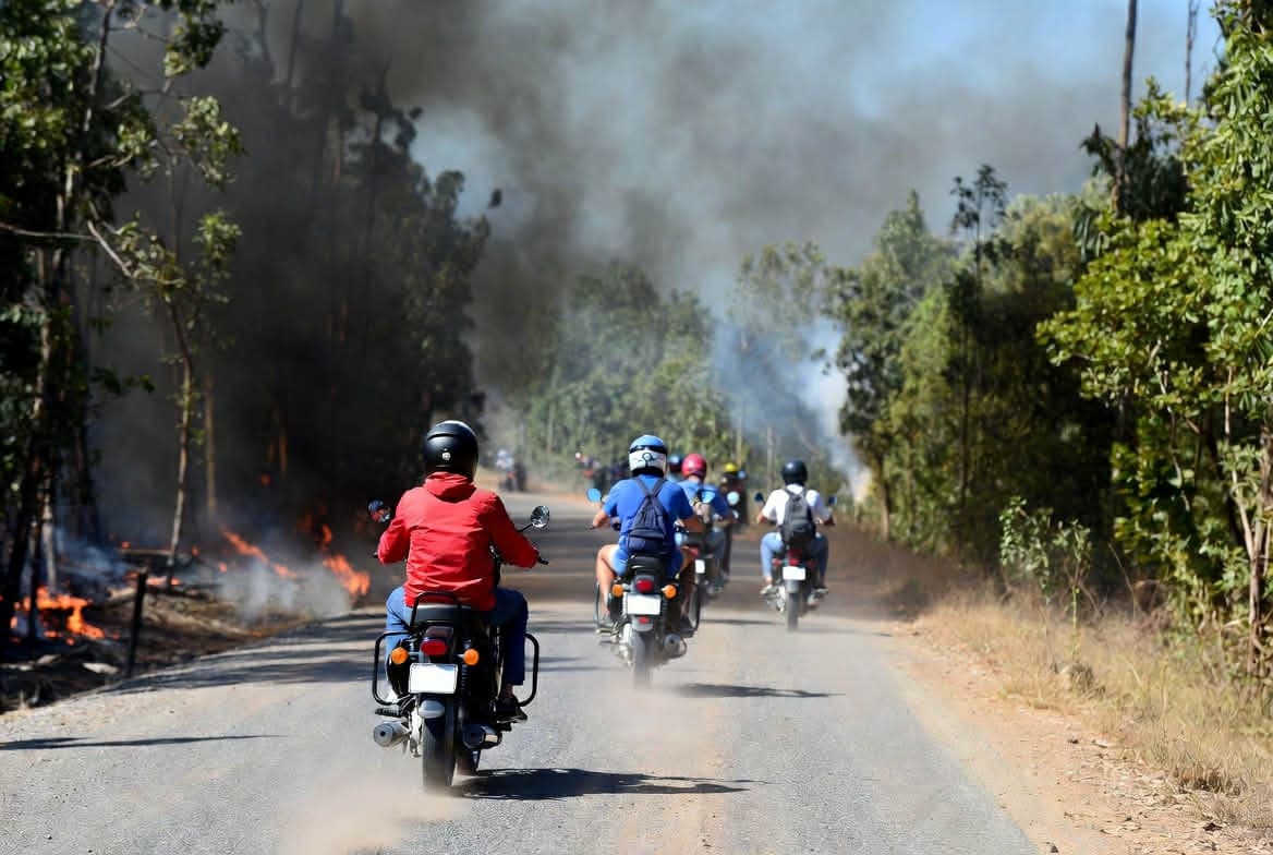 Just Ride Road Trip / Sur la route, les forêts qui disparaissent