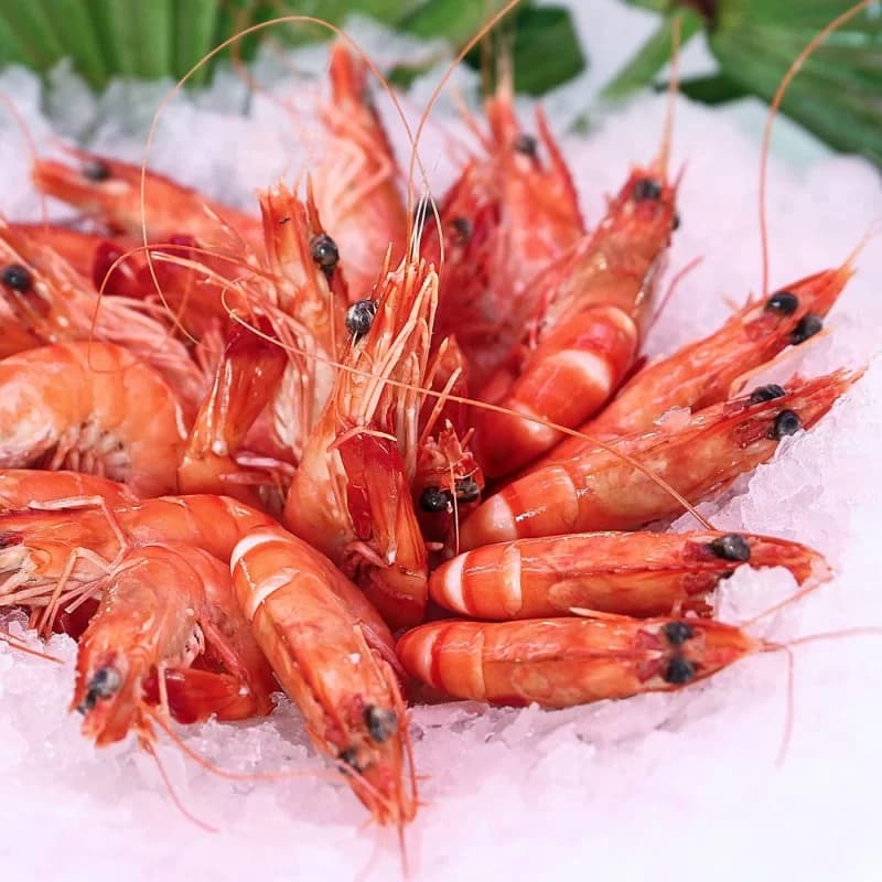 Just Ride Environnement / Menabe : La Mer en Partage, l’Avenir en Héritage