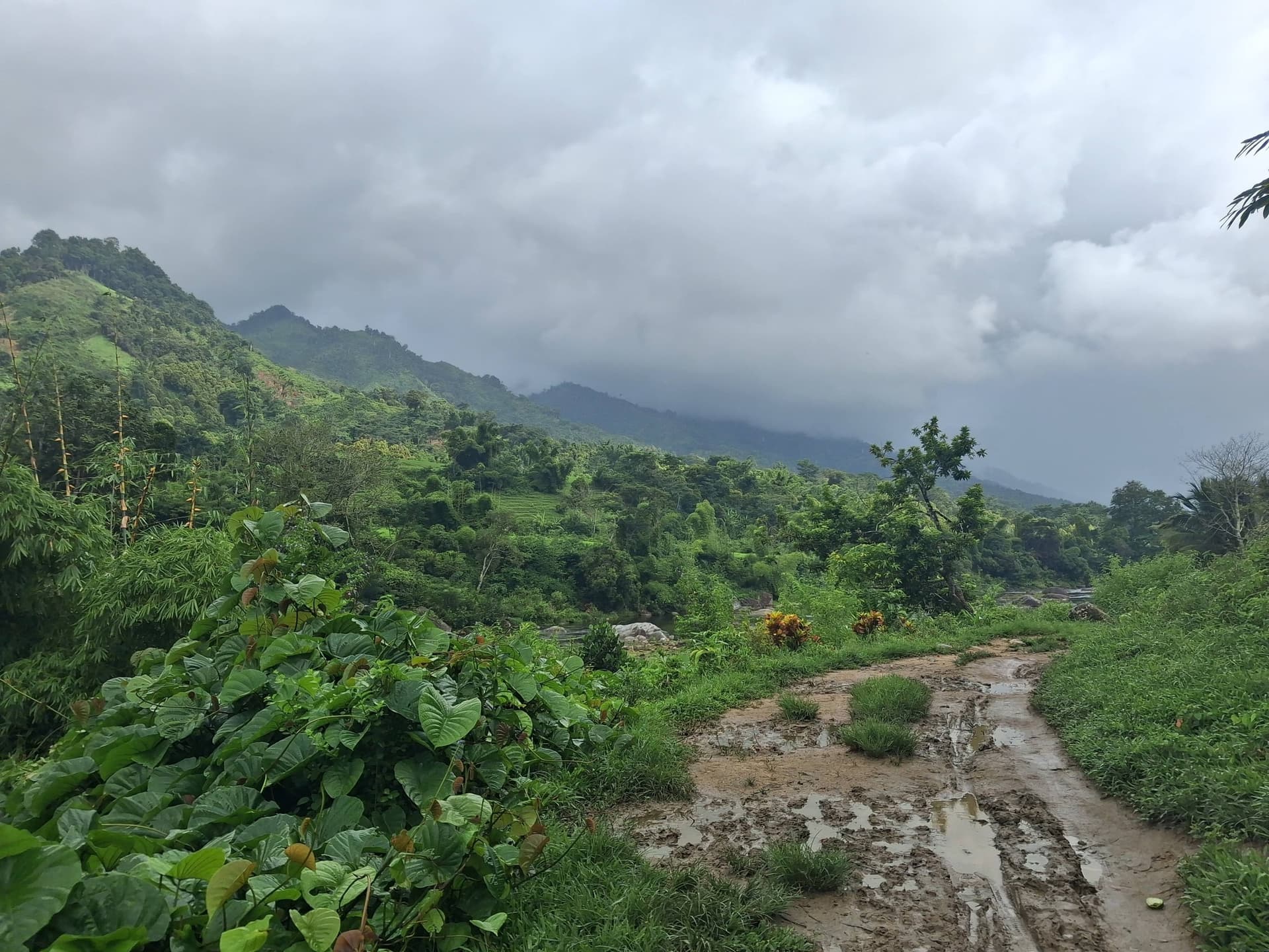 Just Ride Road Trip / Fizono : L'Échappée Sauvage au Cœur d'Ambatosoa