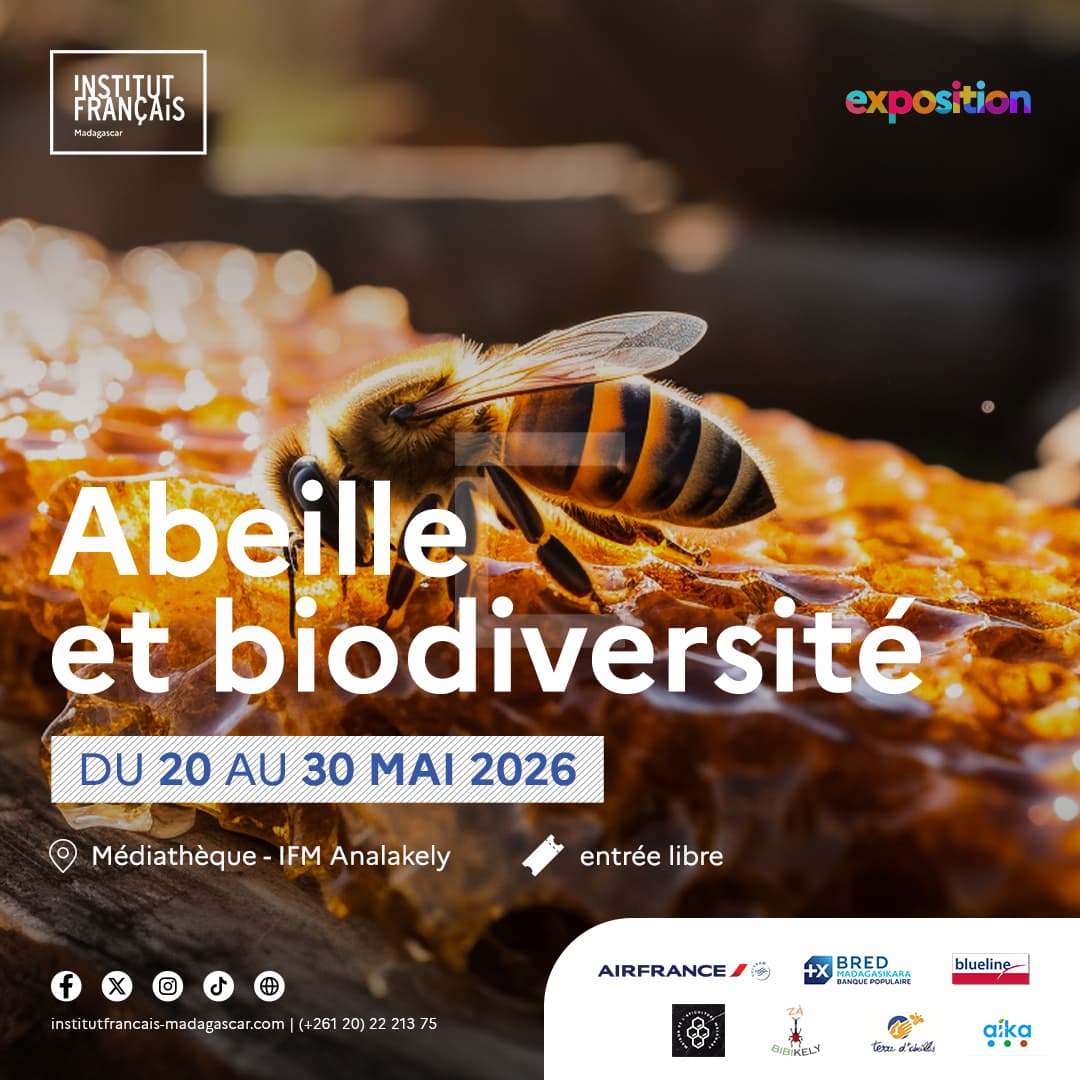 Au-delà de l'asphalte : Pourquoi l’événement de l’IFM sur les abeilles concerne tous les passionnés de voyage et de nature